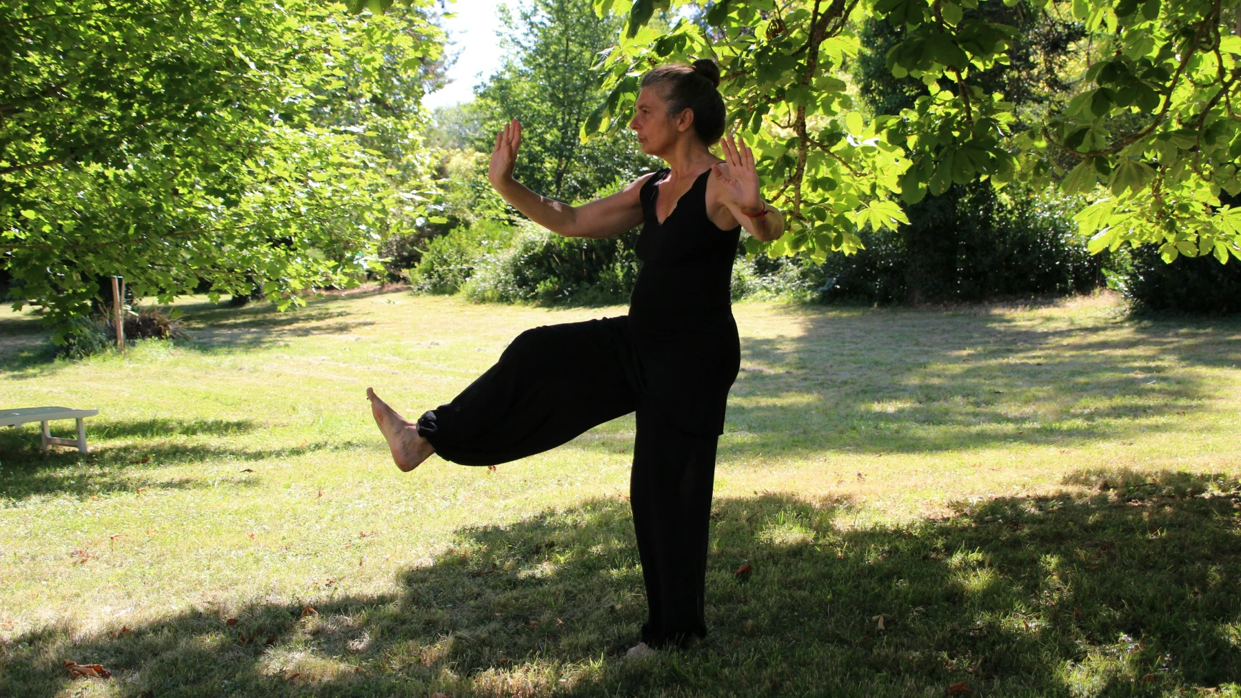 Tai-Chi