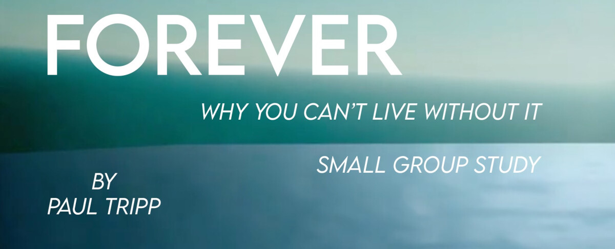 Forever: Why You Can't Live Without It -- Small Group Study