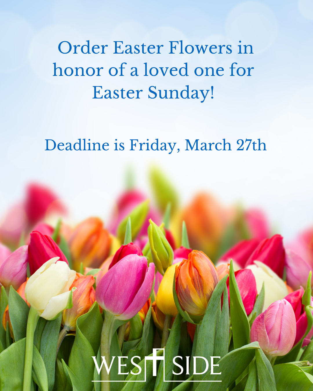 Easter Flower Donation