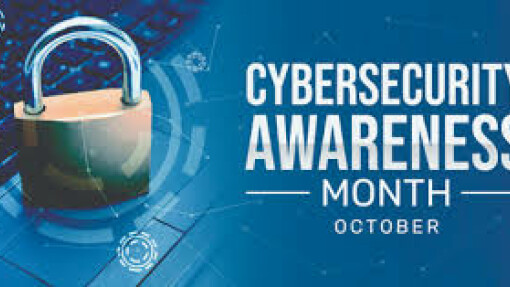 Cyber Security Month Vol 3, Issue 30