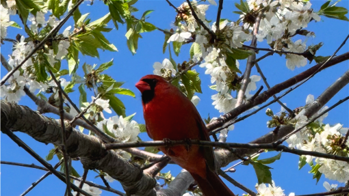 Faith @ First - April 10, 2026