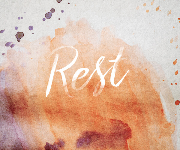 Rest - The Net Retreat