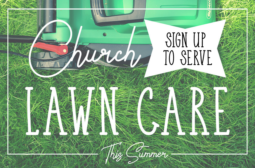 Summer Lawn Care