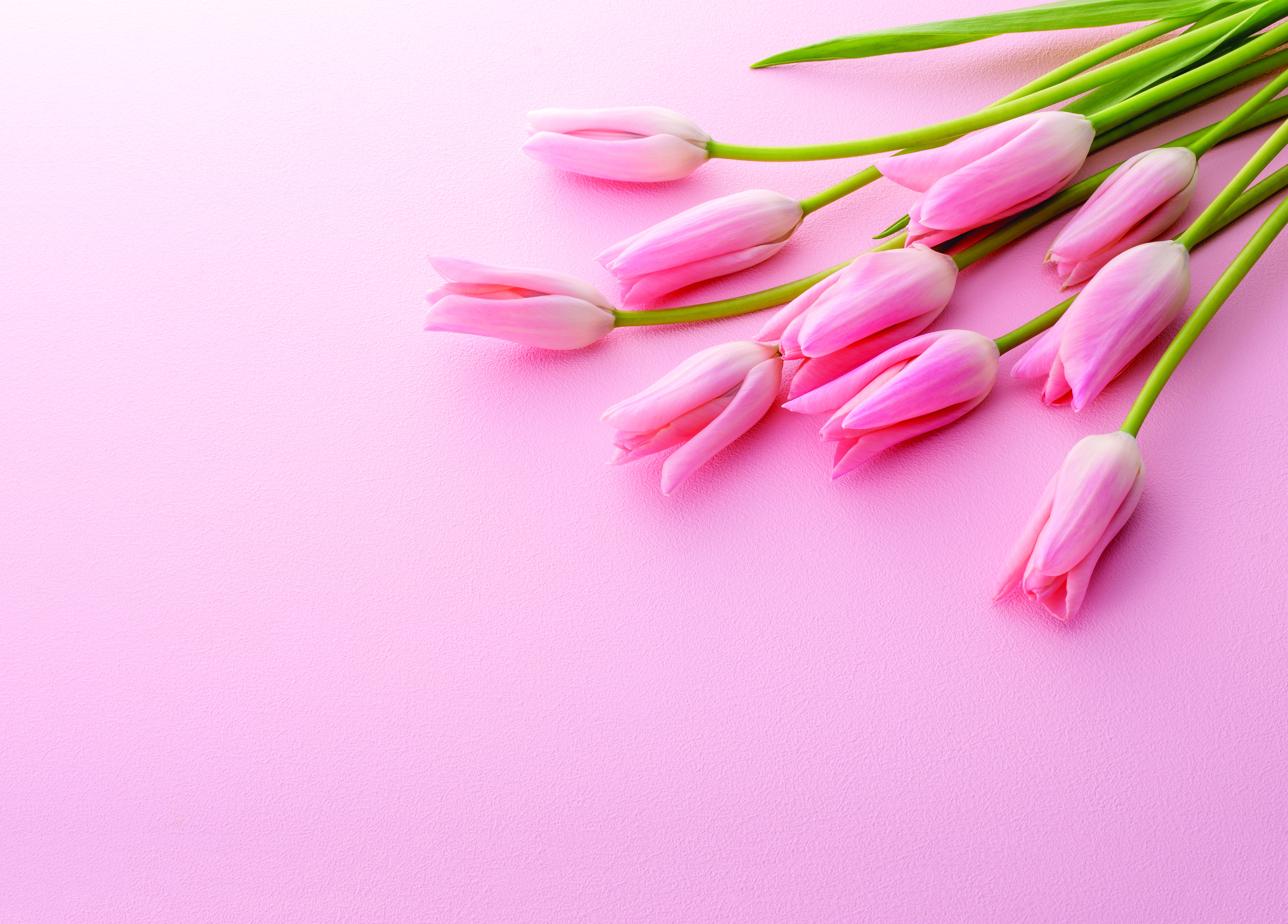 Special Mother's Day Prayer