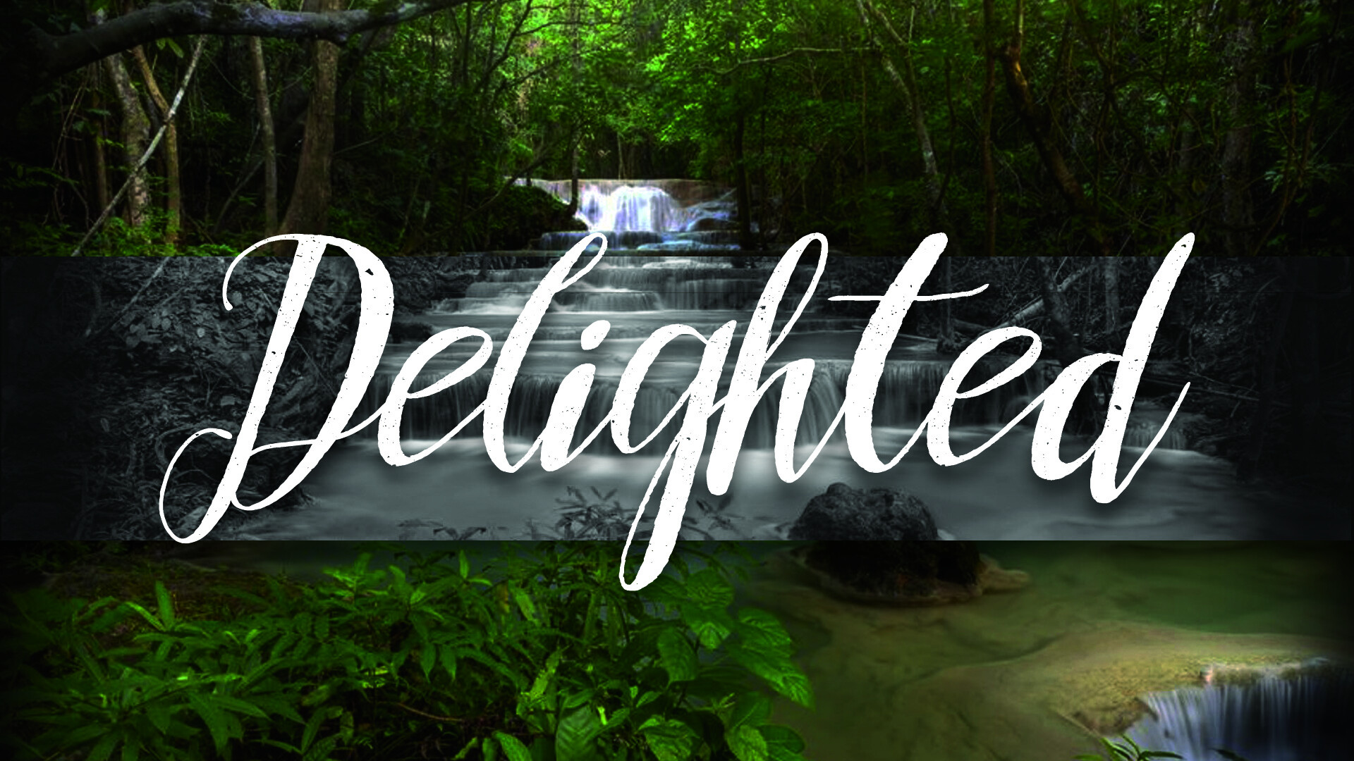 Delighted (Audio) episode artwork