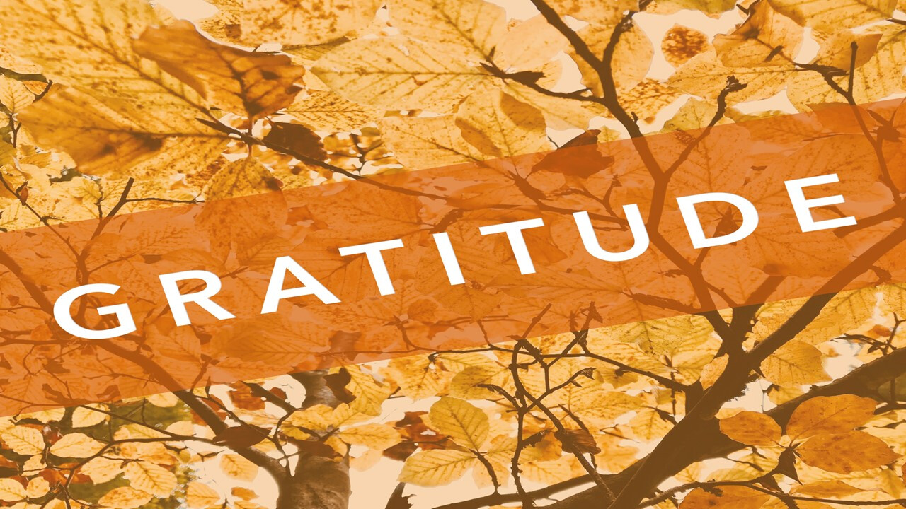 Choose Gratitude episode artwork