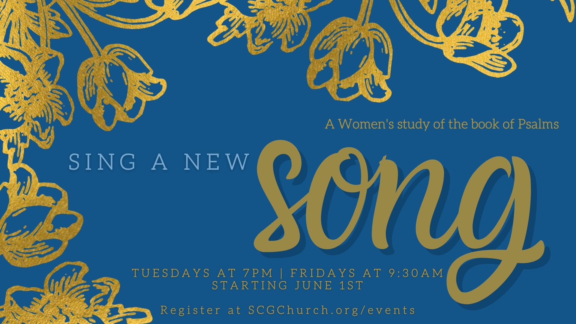 Sing a New Song: A Women's study of the book of Psalms