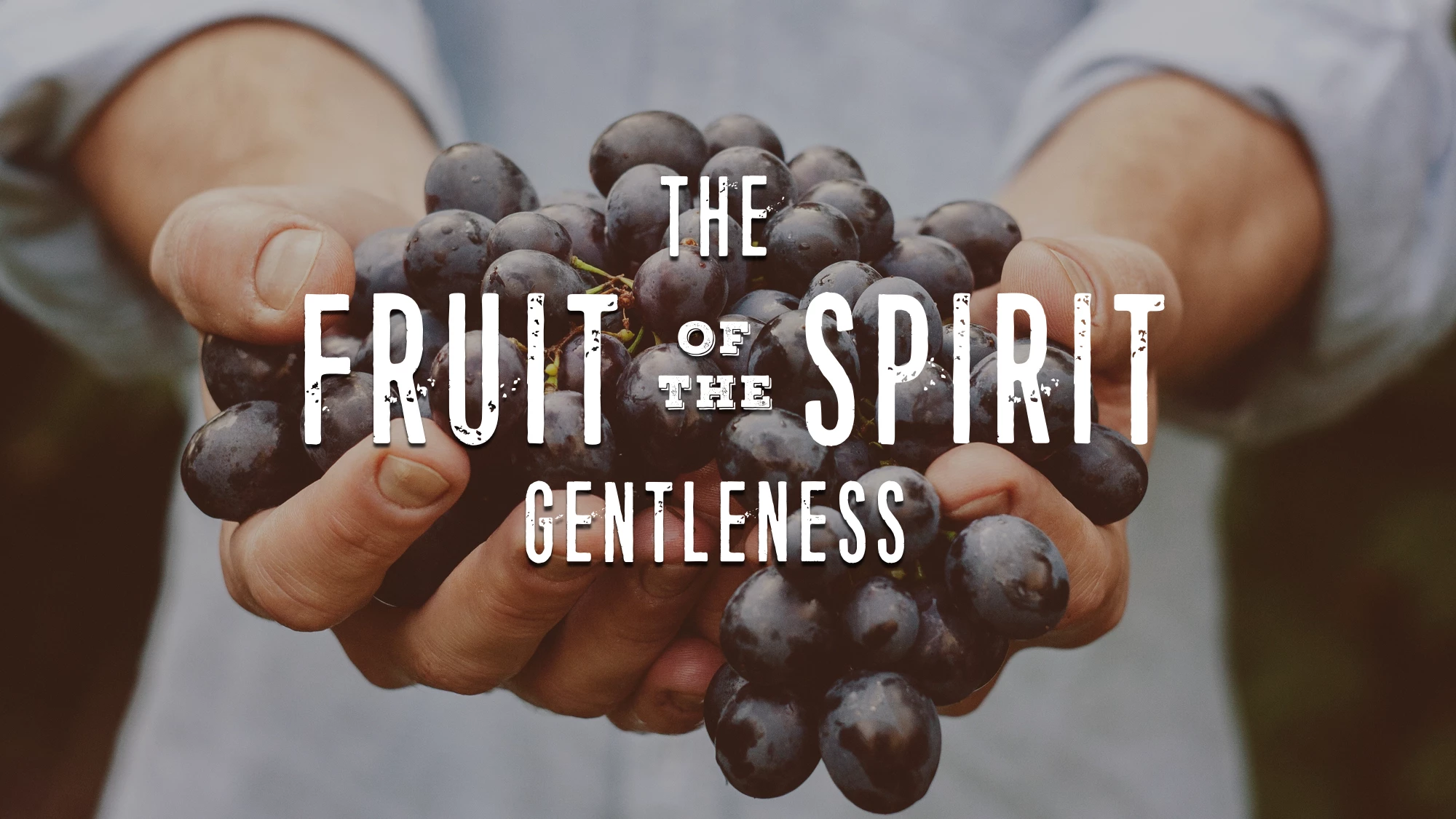 Gentleness