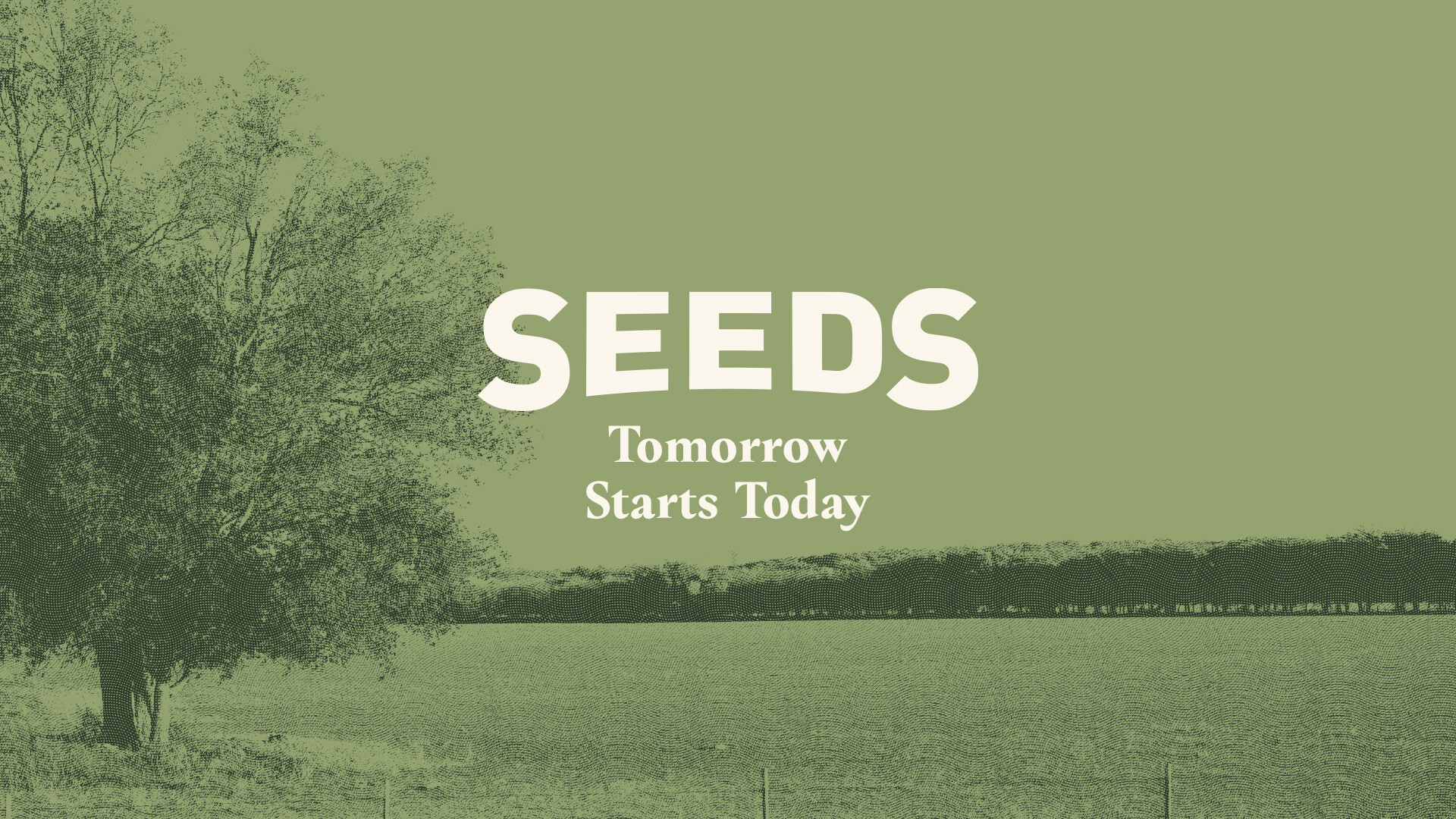 How Do I Grow in the Above and Beyond Life?