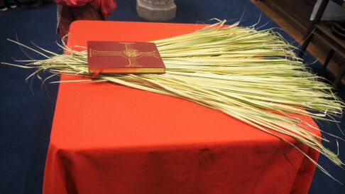 Palm Sunday Service with Liturgy of the Palms 
