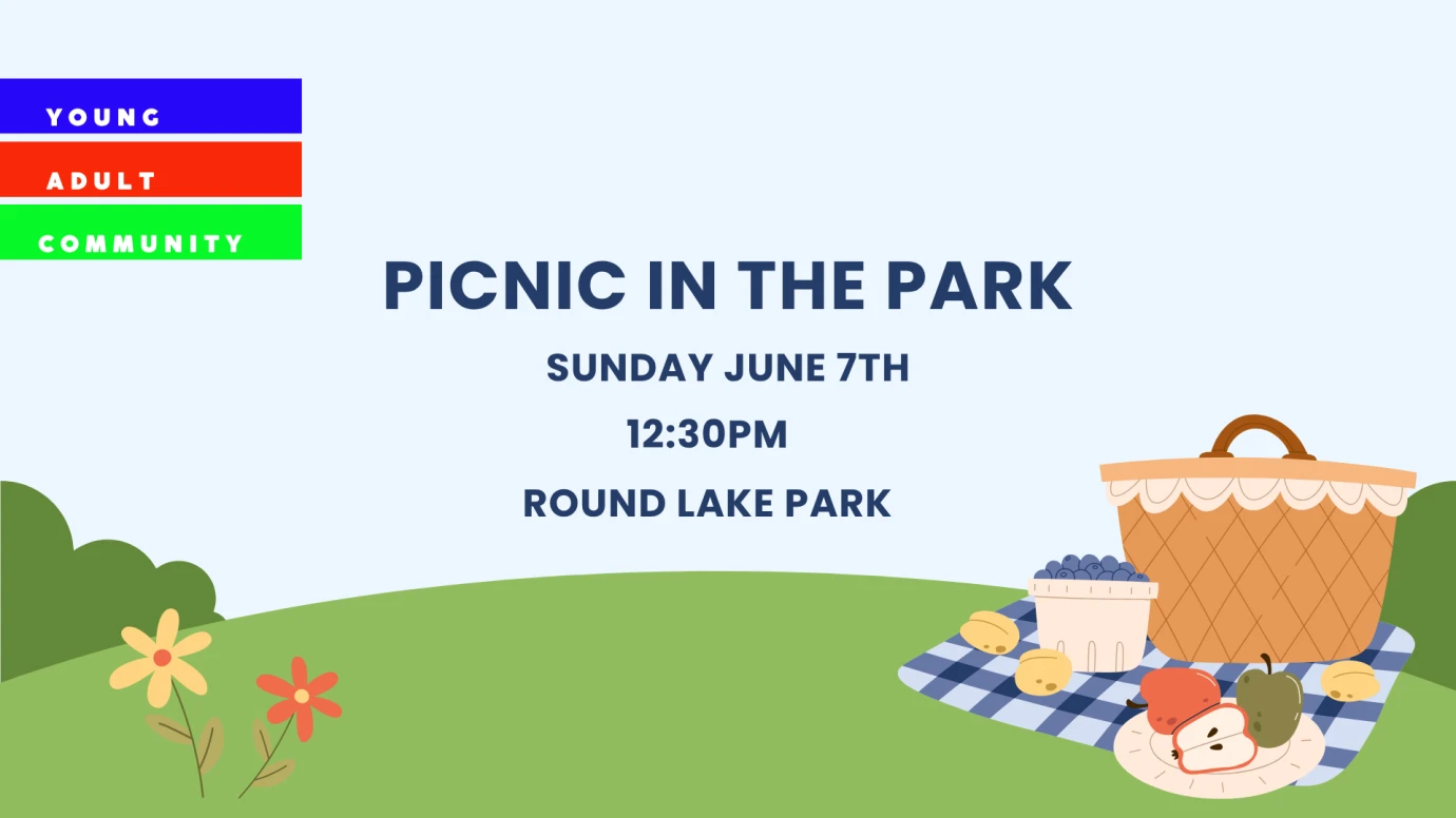 YAC Picnic in the Park