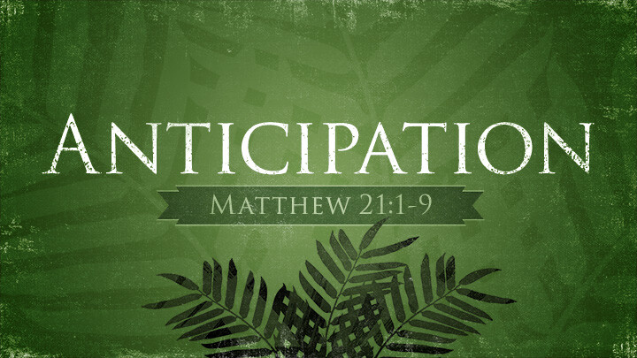 Anticipation (Audio) episode artwork