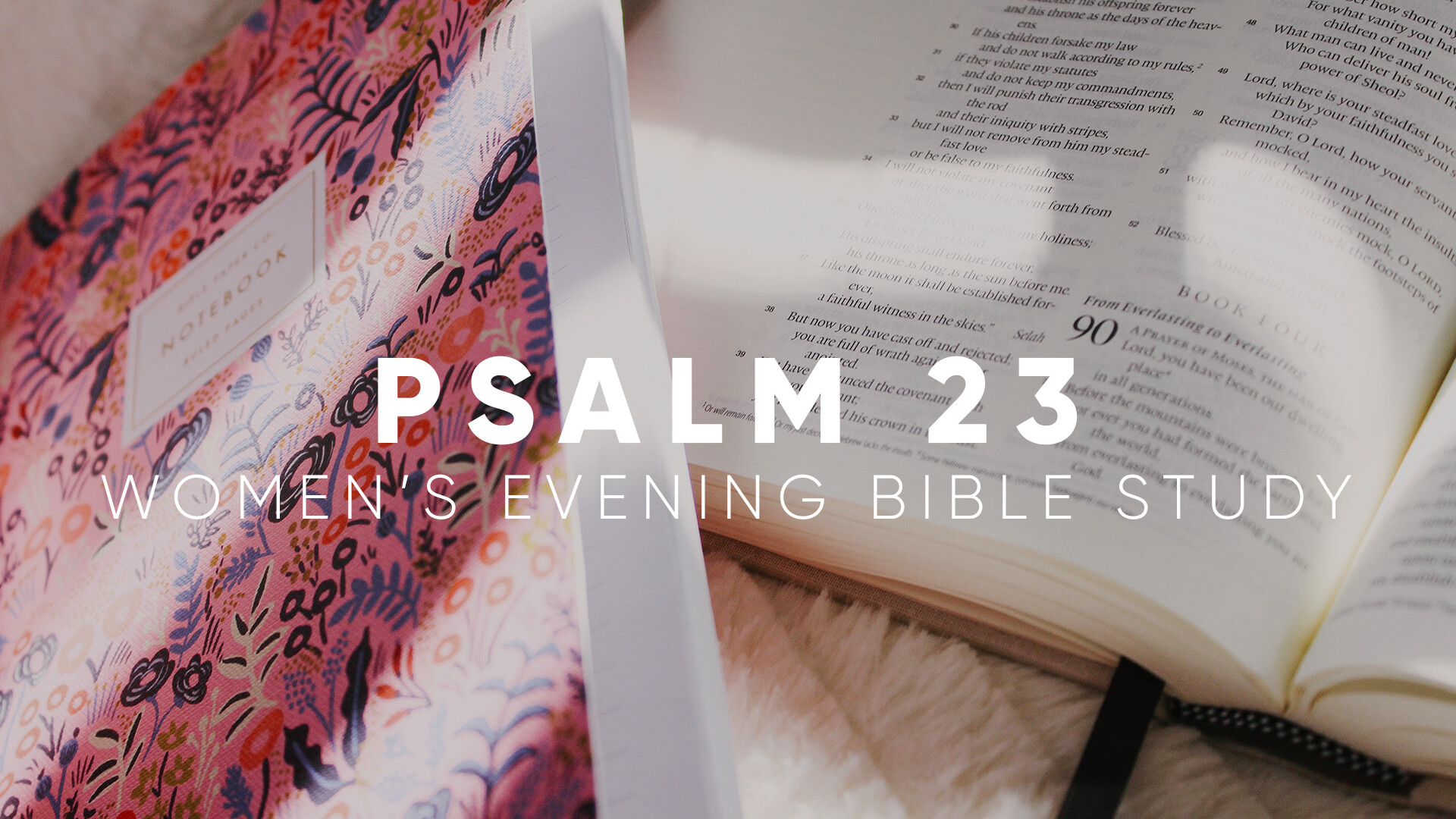 Psalm 23: Women's Evening Bible Study