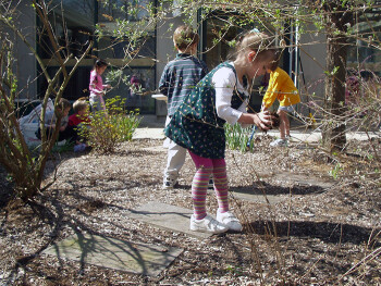 gardening butterflies