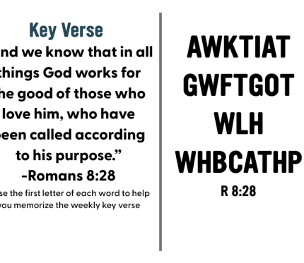 Join us in Memorizing Romans 8:28