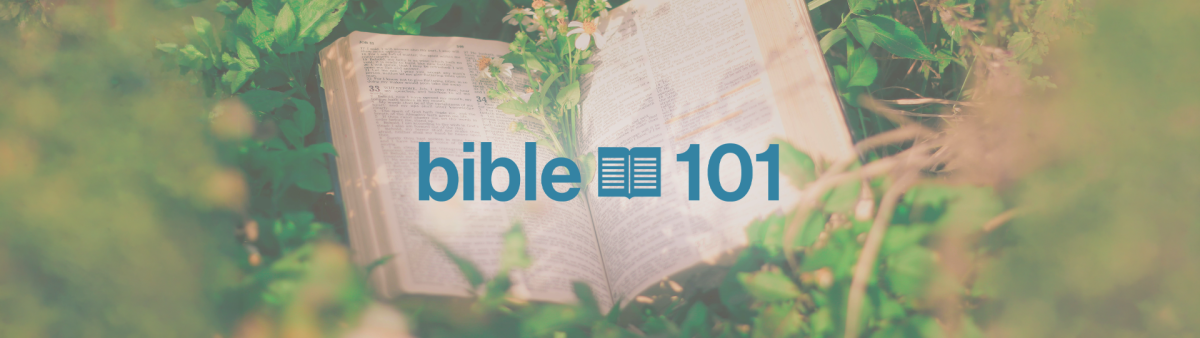 Bible 101 - Highlands Women