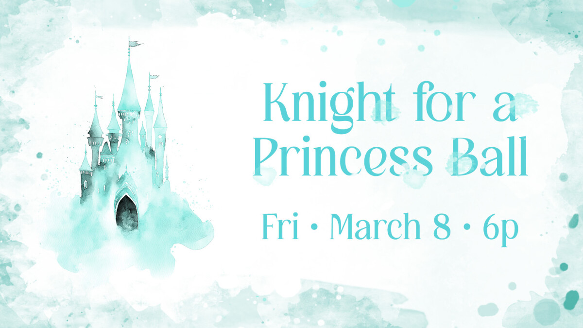 Knight for a Princess Ball