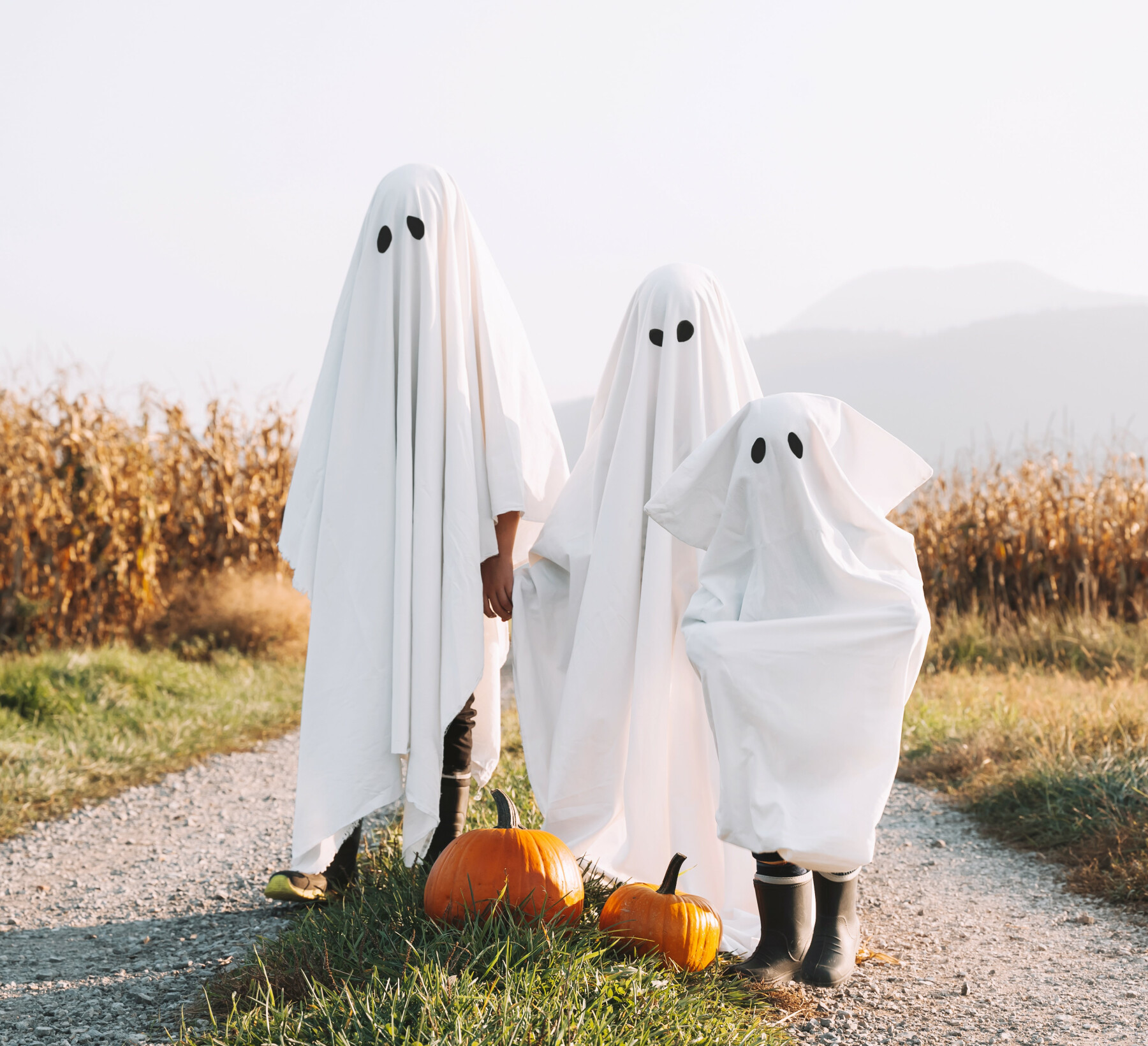 Blessing of the Costumes