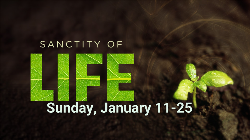 The Sanctity of Human Life, Part 4 of 4 (2026)