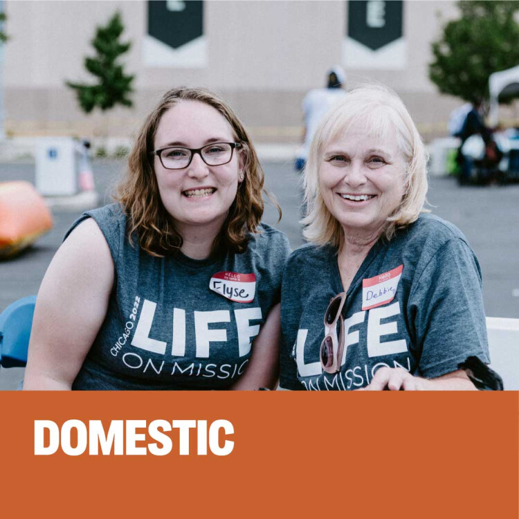 Domestic