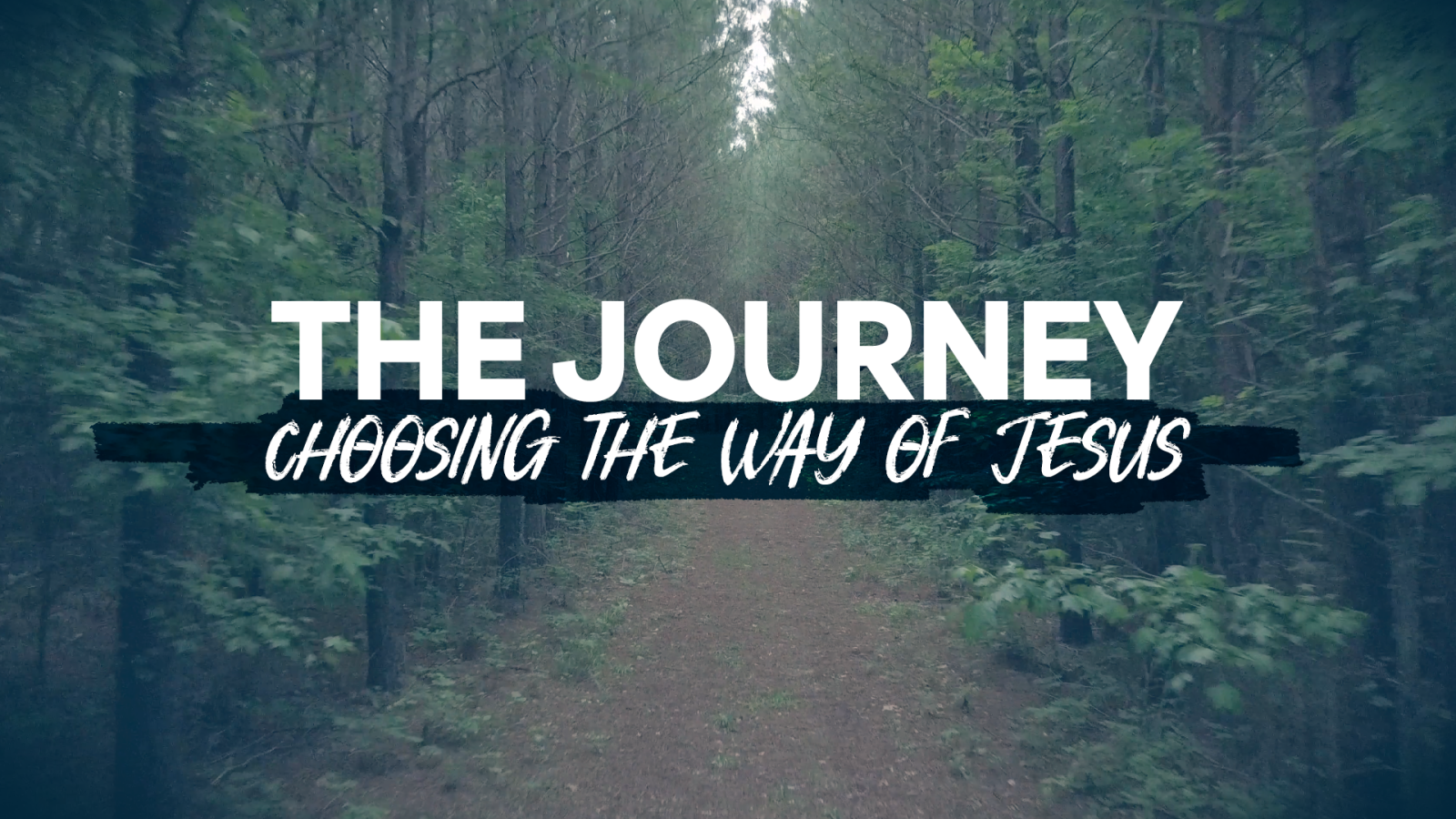 The Journey: Choosing the Way of Jesus