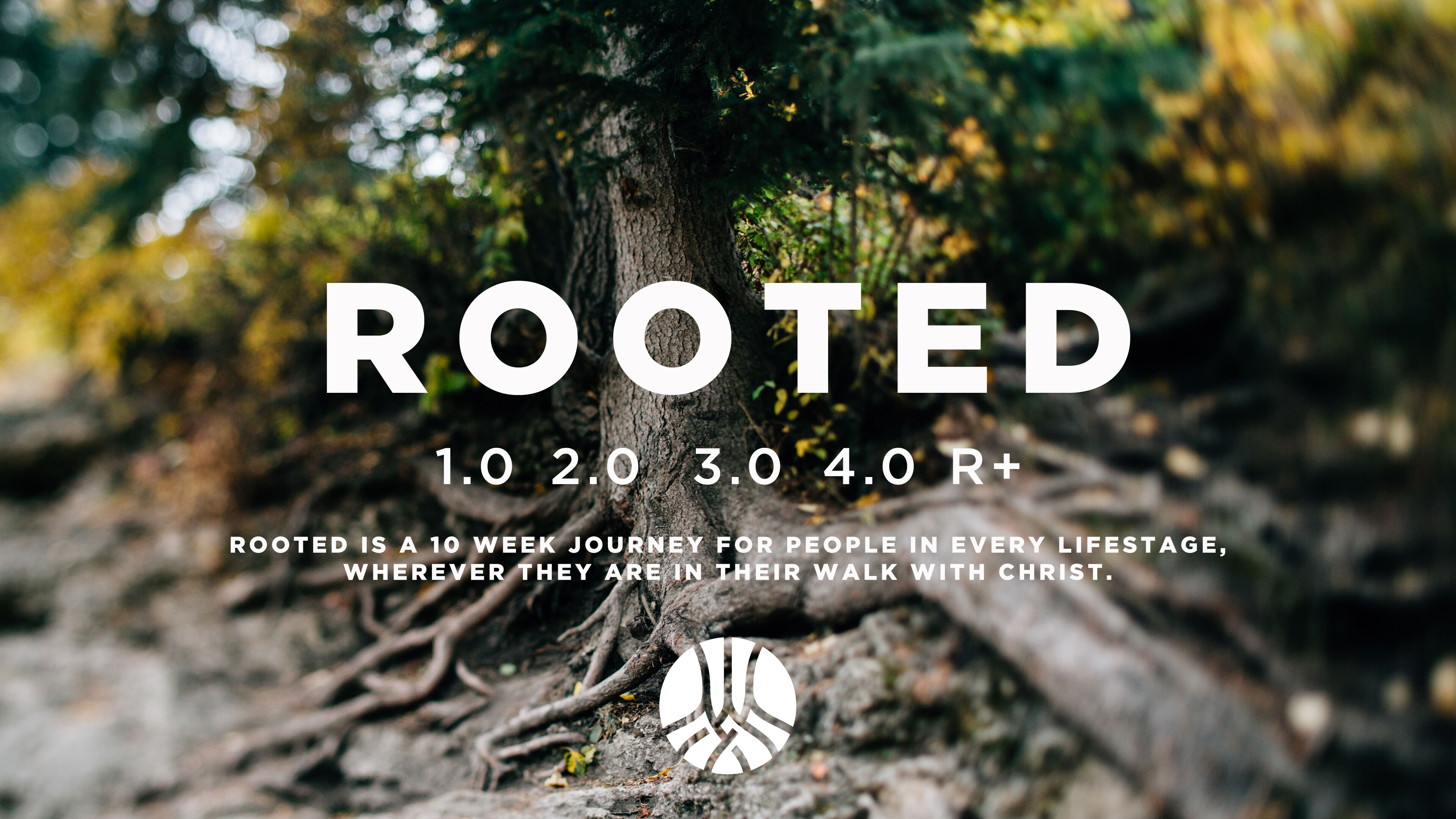 Rooted: Fall 2023