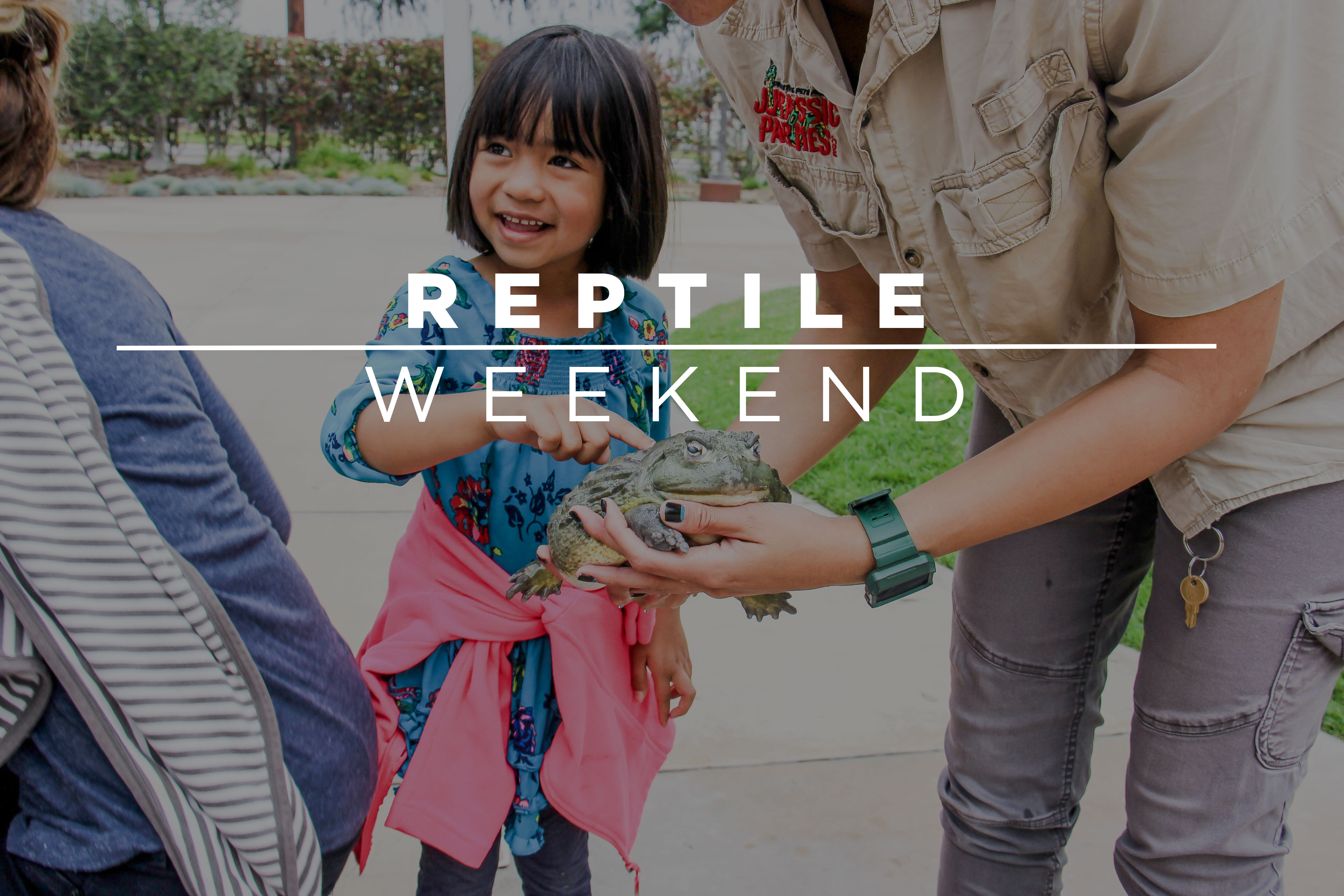 Reptile Weekend! 