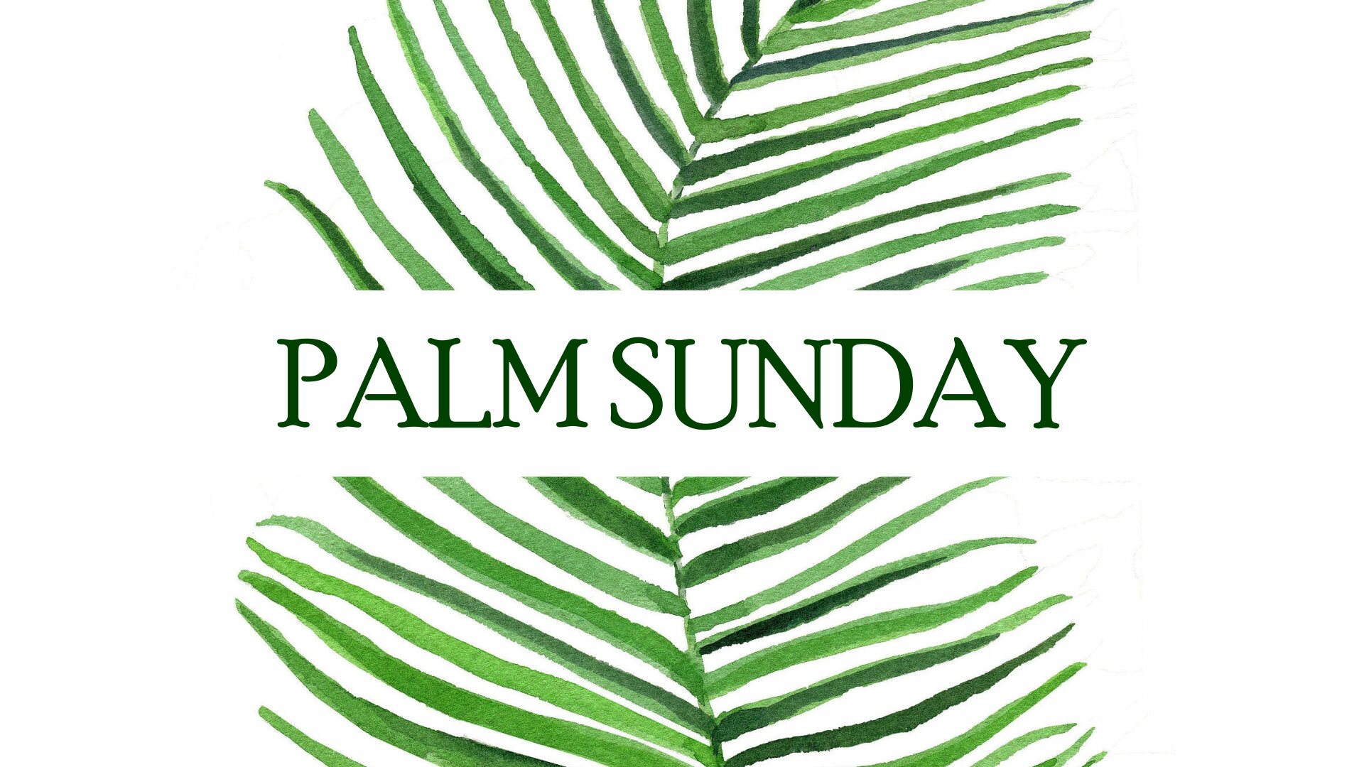 First Baptist West Albuquerque Sermons