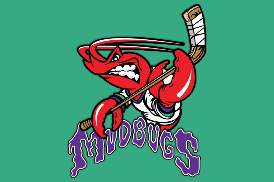Mudbugs game for youth