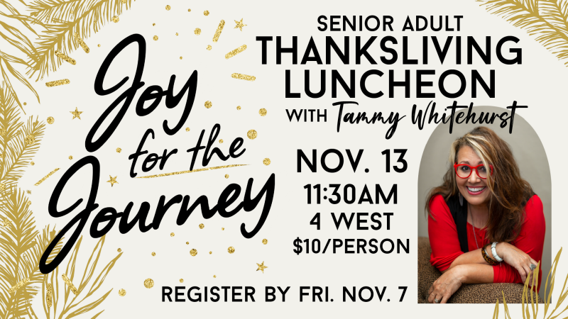 Sr Adult Lunch and Program