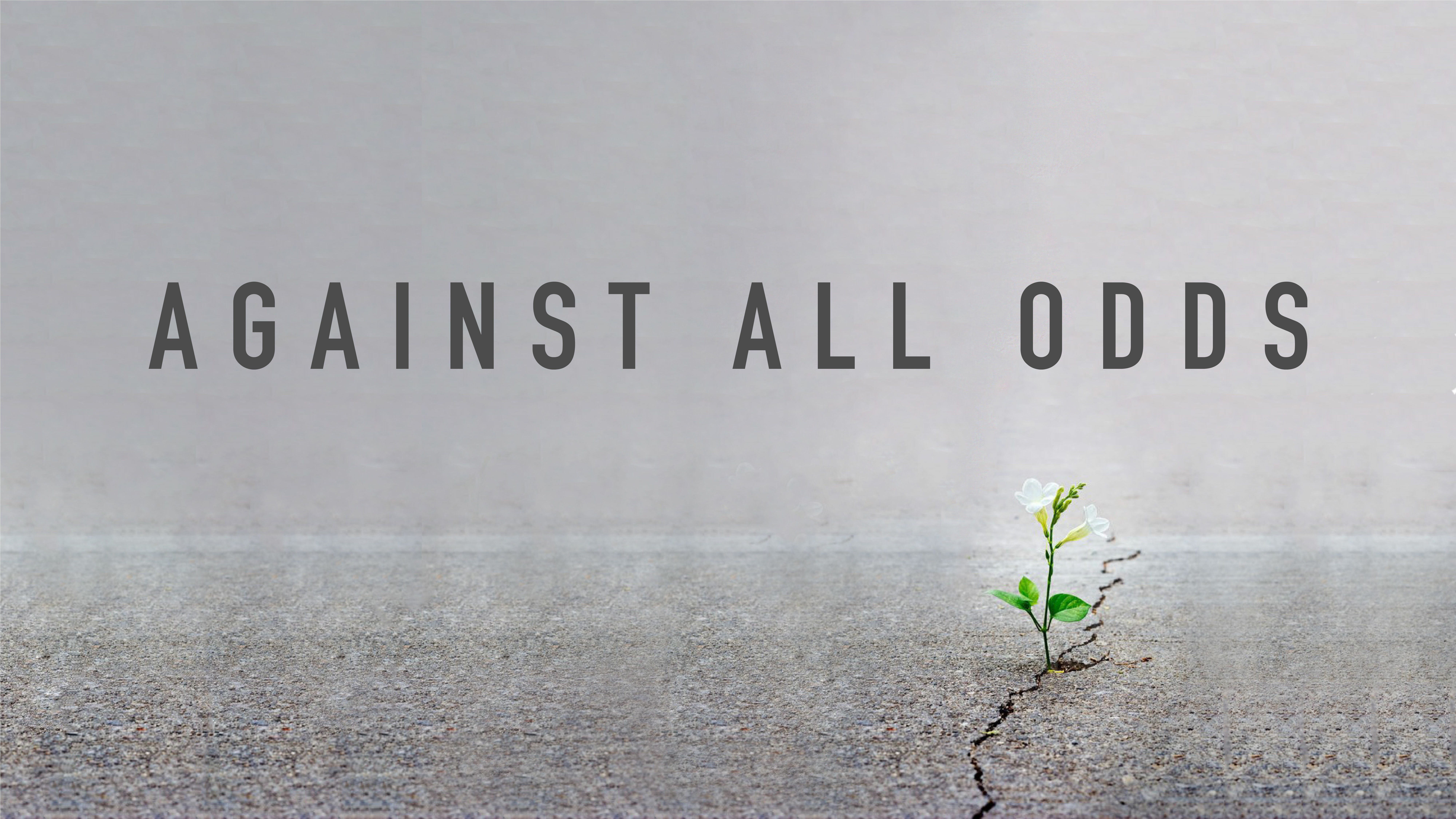 Our Goal: Build the Church (Audio)