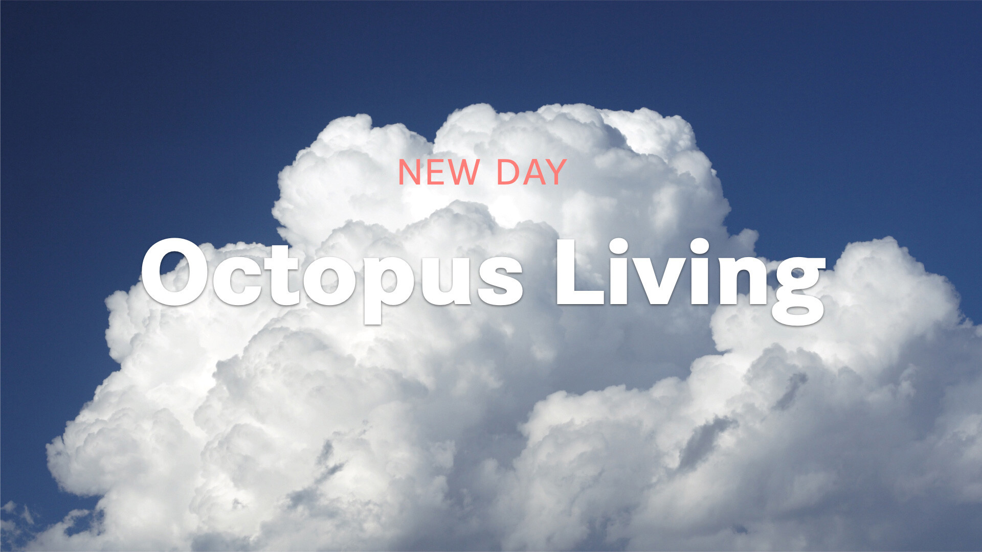 Octopus Living (Audio) episode artwork