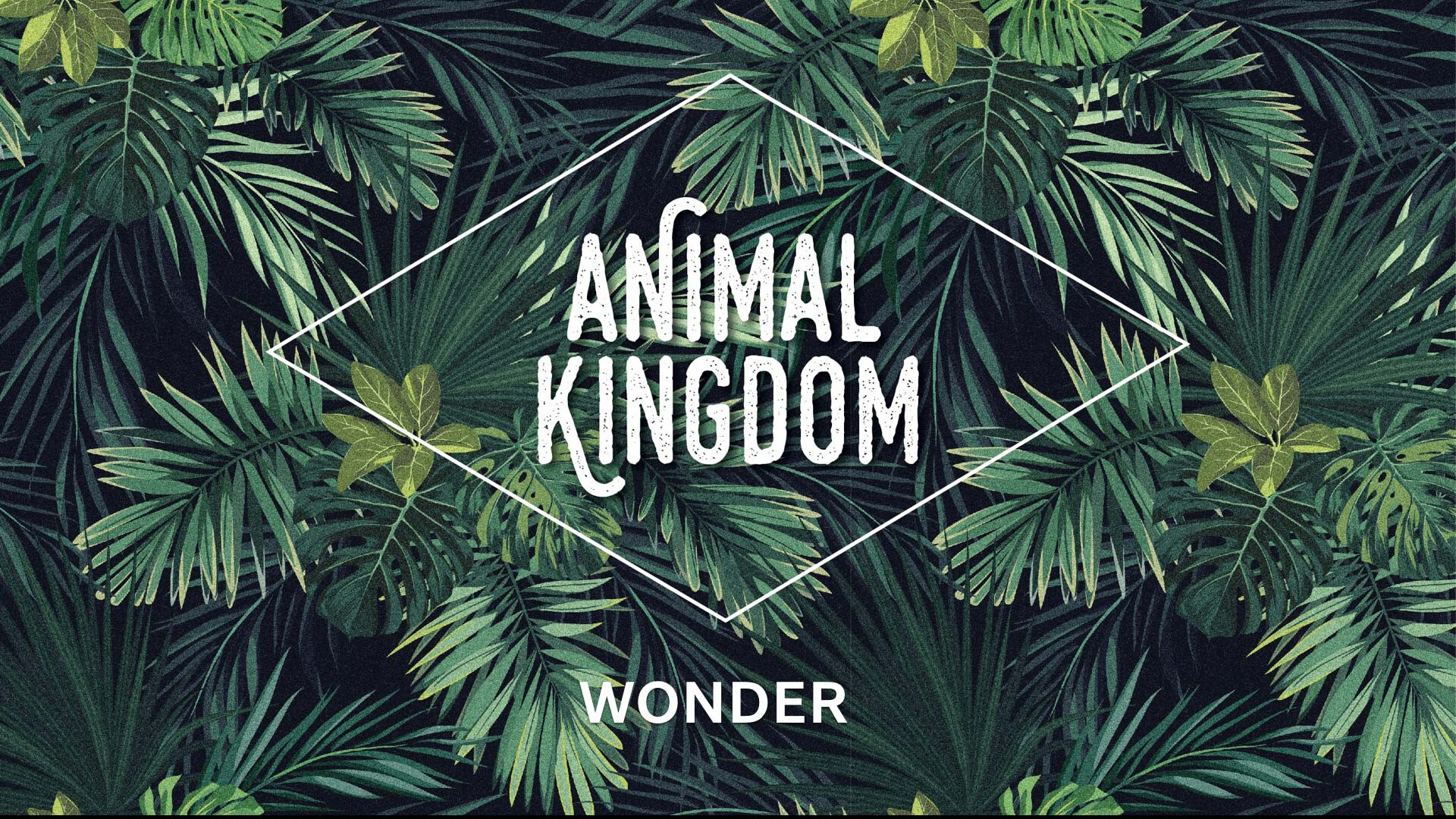 Wonder (Audio) episode artwork