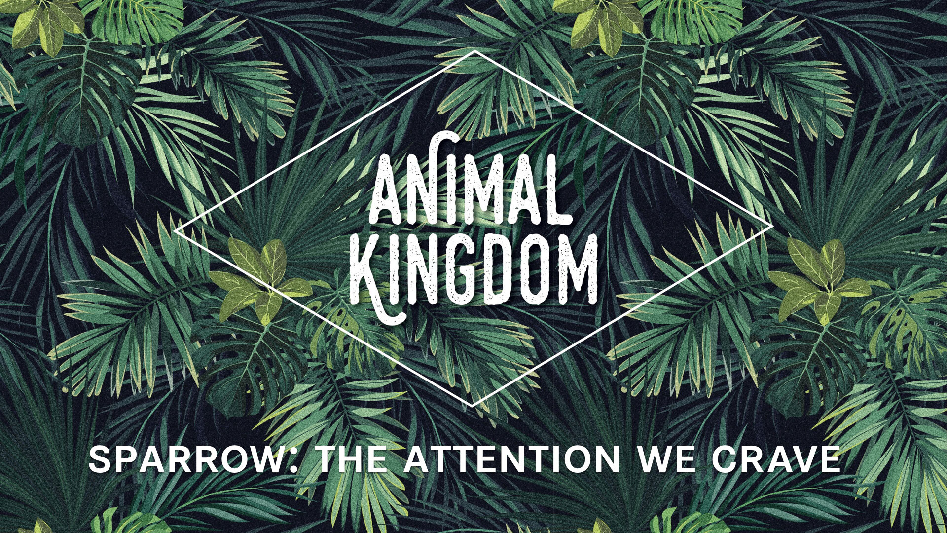 Sparrow: The Attention We Crave (Audio) episode artwork
