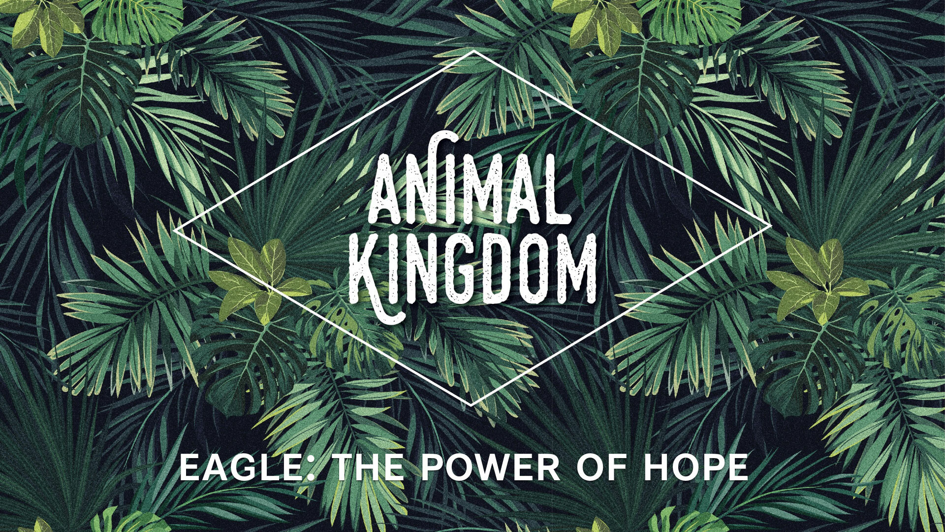 Island ECC - A Dynamic English Speaking International Church in Hong Kong