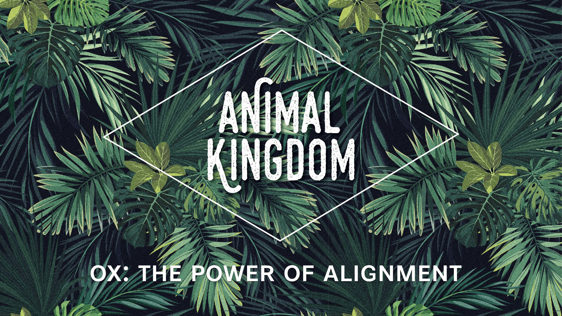 Ox: The Power of Alignment (Audio) episode artwork