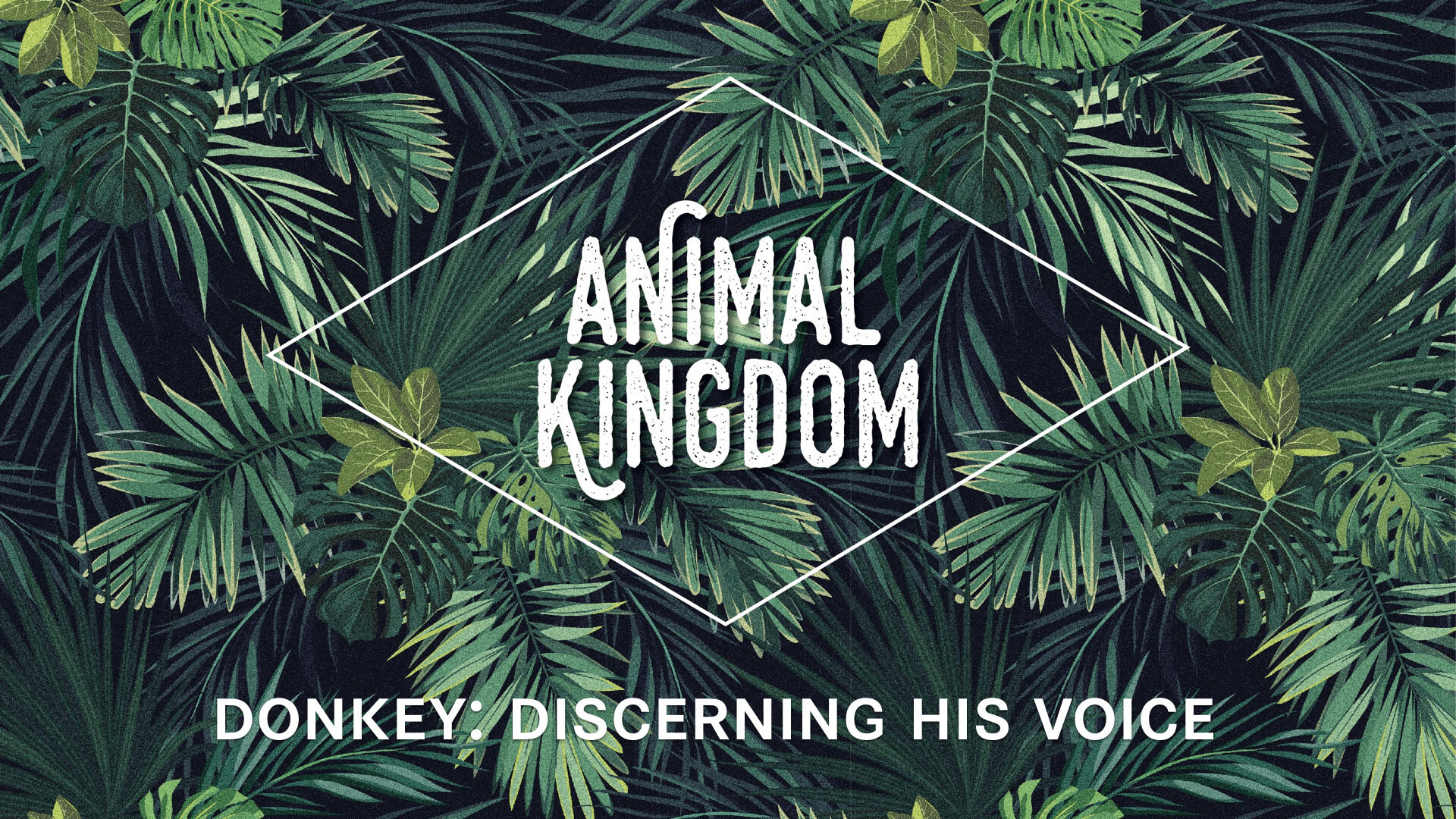 Donkey: Discerning His Voice (Audio) episode artwork