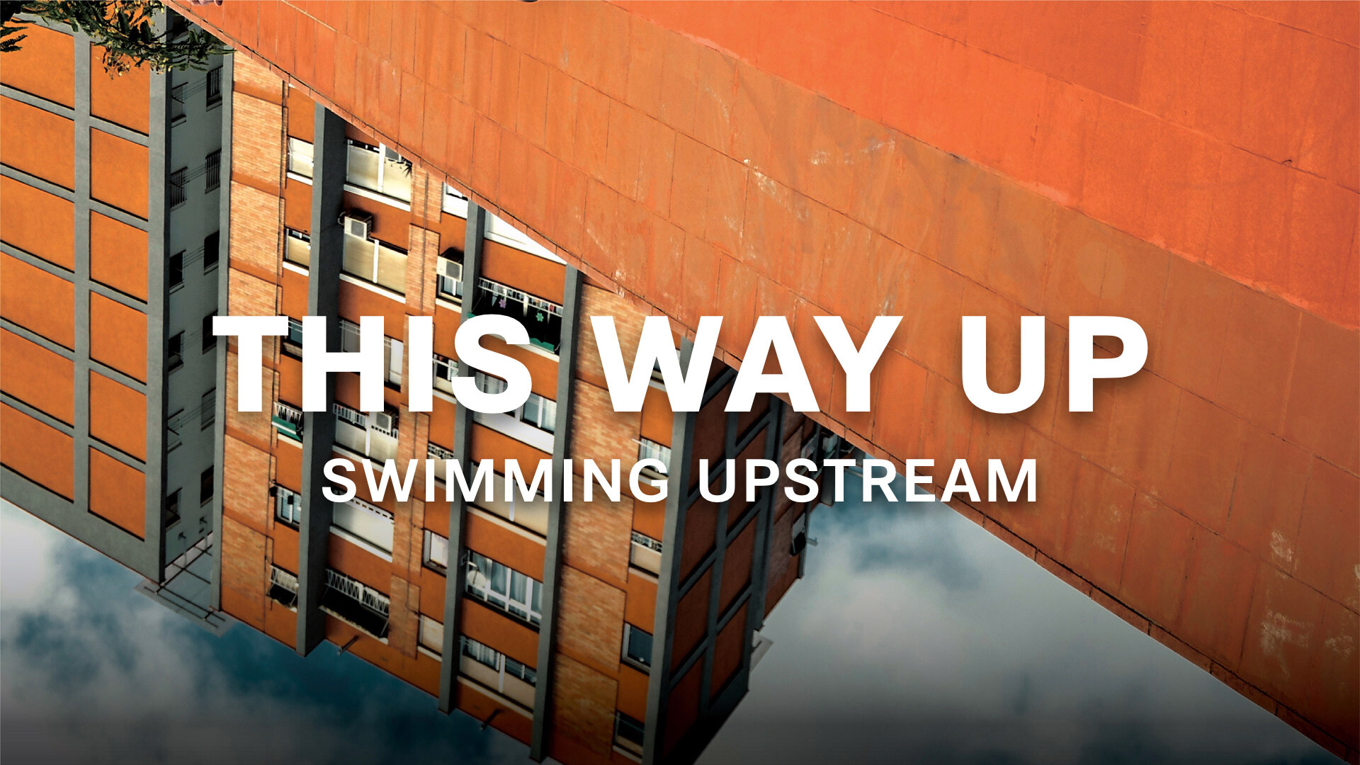 This Way Up: Swimming Upstream (Audio) episode artwork