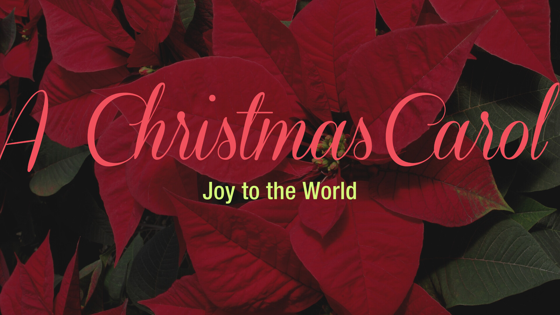 Joy To The World (Audio) episode artwork