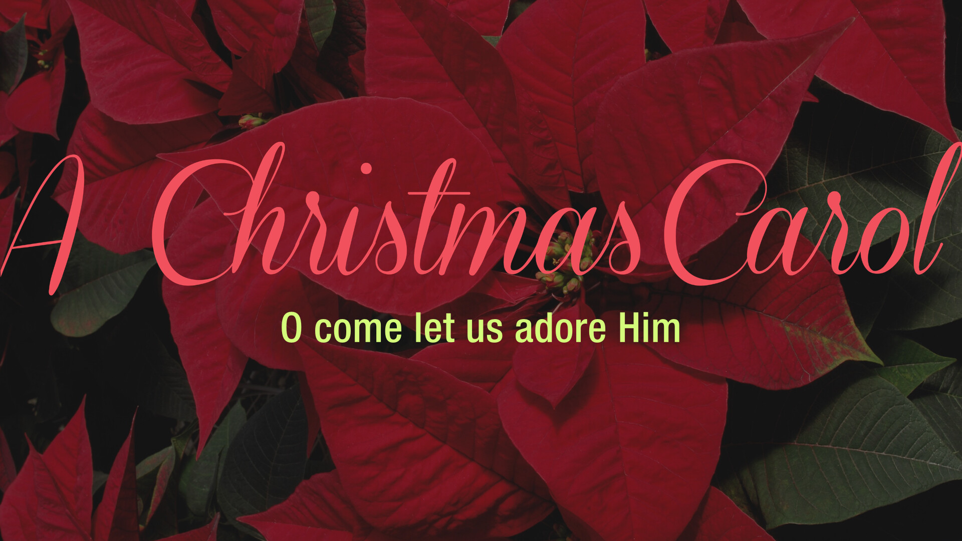 O Come Let Us Adore Him (Audio) episode artwork