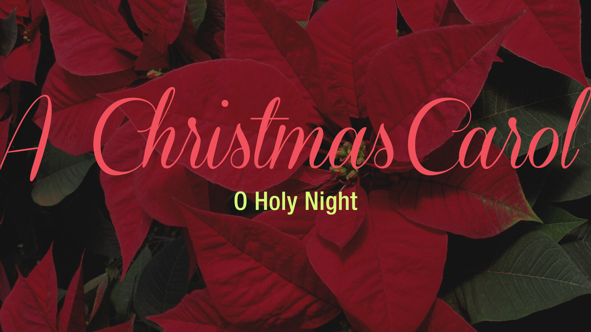 O Holy Night (Audio) episode artwork