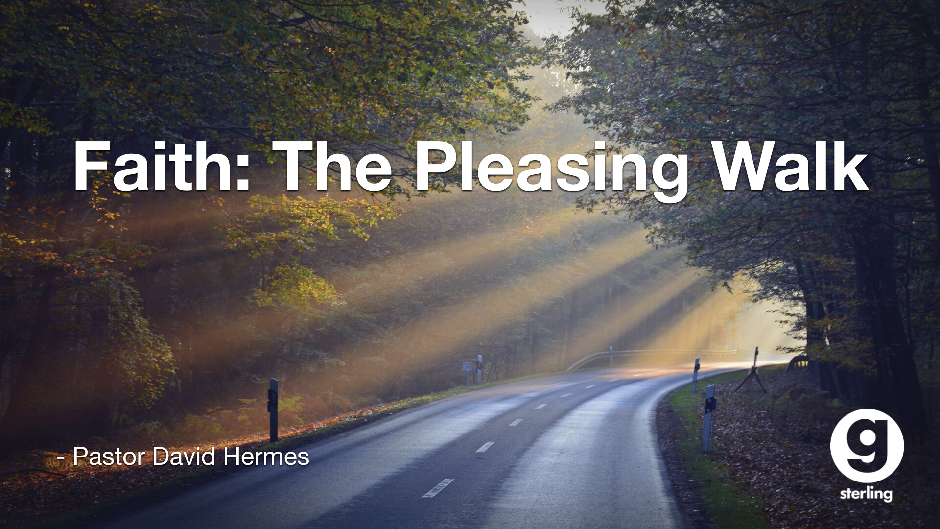 Faith: The Pleasing Walk episode artwork