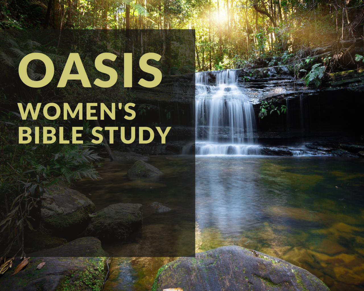 Image for Oasis Women's Bible Study