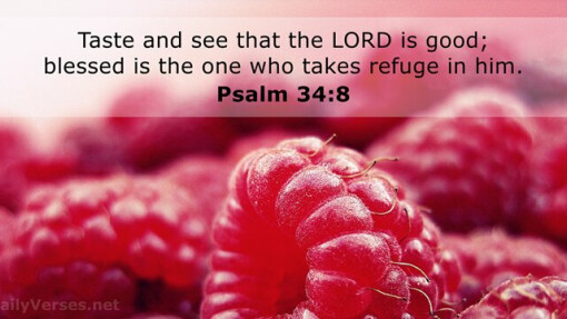 Verse of the Day - May 27