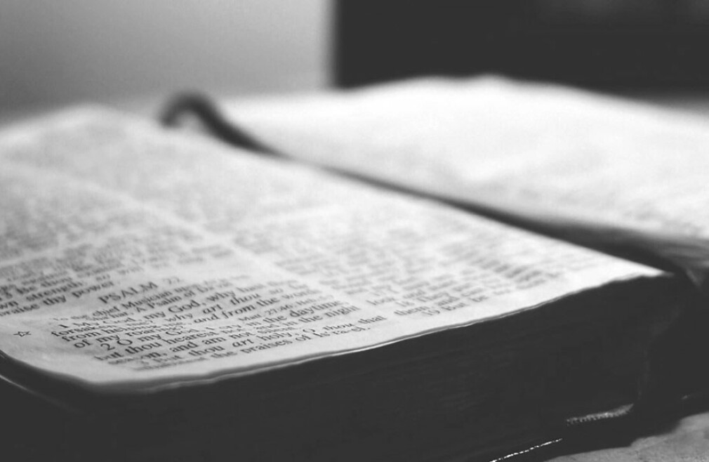 Adult Bible Study @ 9:30 AM