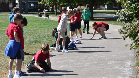 Studying the Sun in Science
