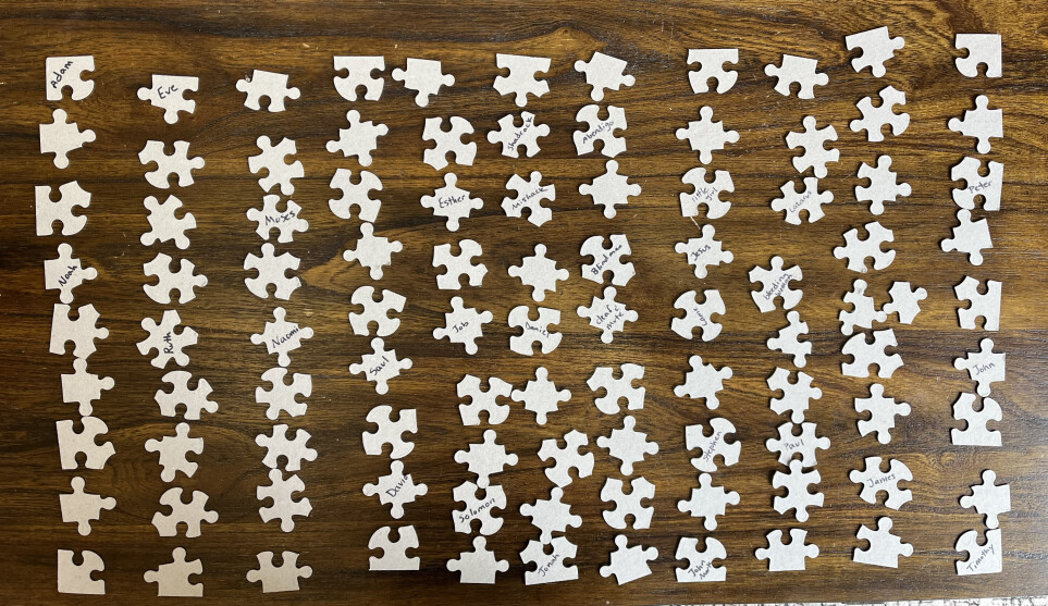 Blank Puzzle