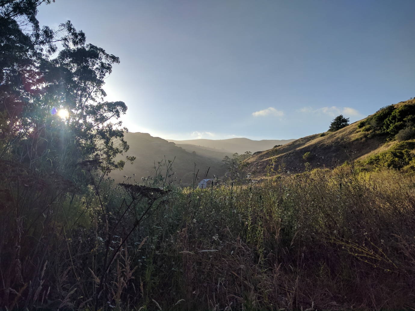 Epiphany Sunset Walk