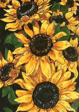 Sunflower and Song