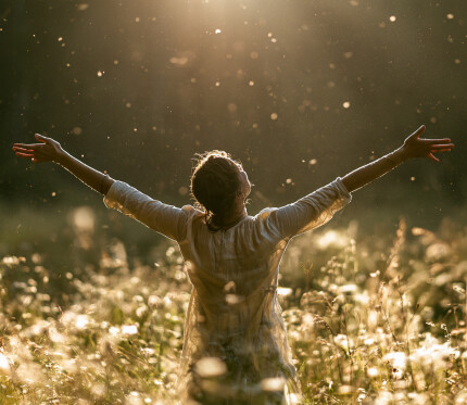 Jesus Prays for Your Joy
